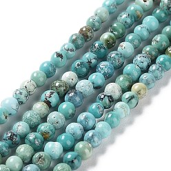 HuBei Turquoise Natural HuBei Turquoise Beads Strands, Round, 2.5~3mm, Hole: 0.5mm, about 155pcs/strand, 15.75''(40cm)
