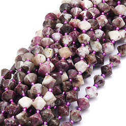 Tourmaline Natural Plum Blossom Tourmaline Beads Strands, Faceted, Bicone, 8x8mm, Hole: 1mm, about 40pcs/strand, 15.24''(38.7cm)