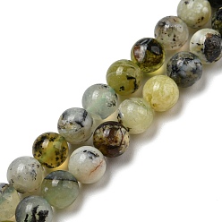 Green Opal Natural Green Opal Beads Strands, Round, 6mm, Hole: 0.8mm, about 62pcs/strand, 15.51''(39.4cm)