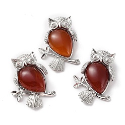  Natural Red Agate Teardrop Pendant Rhinestone Settings, Rack Plating Platinum Plated Brass Owl Charms, Long-Lasting Plated, Fit for 1.8mm Rhinestone, 34.5x24x7.5~8mm, Hole: 5x3mm