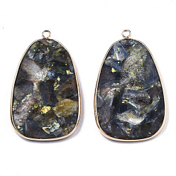Light Gold Assembled Synthetic Pyrite and Kyanite/Cyanite/Disthene Big Pendants, with Brass Edge and Loop, Egg Stone, Light Gold, 51~52x30~31x5~6mm, Hole: 2mm