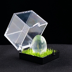 Cristal de Quartz Boîte d'échantillons minéraux d'œufs de guérison en cristal de quartz naturel, Pierre brute reiki pour la thérapie de méditation équilibrant l'énergie, 20x17mm
