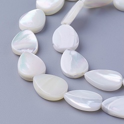 Other Sea Shell Shell Beads Strands, teardrop, 13~14x9.6~10x3~4mm, Hole: 0.7mm, about 29pcs/strand, 15.66 inch(39.8cm)