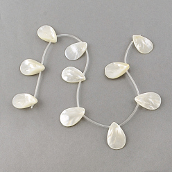Creamy White Natural Sea Shell Beads Strands, Top Drilled Beads, Teardrop, Creamy White, 30.5x21x4.5mm, Hole: 1.5mm, about 10pcs/strand, 16.3 inch