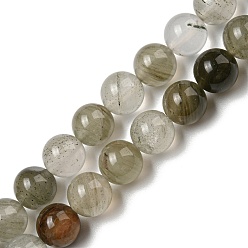 Quartz Lodolite Quartz vert naturel Lodolite / brins de perles de quartz de jardin, ronde, 8mm, Trou: 0.7mm, Environ 48 pcs/chapelet, 15.67'' (39.8 cm)