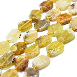 Yellow Opal Natural Yellow Opal Beads Strands, Nuggets, 13~17x11~13x4~6mm, Hole: 0.8mm, about 24~25pcs/strand, 16.54 inch(42cm)