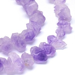 Amethyst Natural Amethyst Beads Strands, Nuggets, 7~13x11~19mm, Hole: 1mm, about 34~39pcs/strand, 15.1 inch