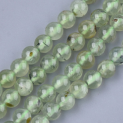 Prehnite Natural Prehnite Beads Strands, Round, 10mm, Hole: 1mm, about 38~39pcs/strand, 15.3 inch