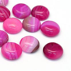 Camellia Dyed Natural Striped Agate/Banded Agate Cabochons, Half Round/Dome, Camellia, 14x5~6mm