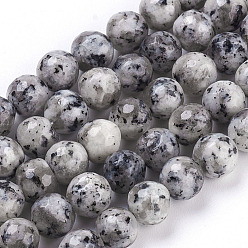 Dark Gray Faceted Round Natural Agate Beads Strands, Dyed, Dark Gray, 8mm, Hole: 1.5mm, about 45pcs/strand, 14.9 inch