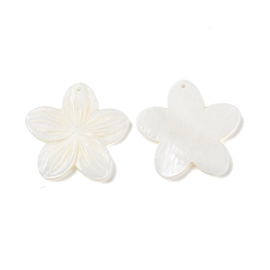 Seashell Color Natural Freshwater Shell Pendants, Flower Charms, Seashell Color, 35.5~36.5x37~38x2.5~3mm, Hole: 1.5mm