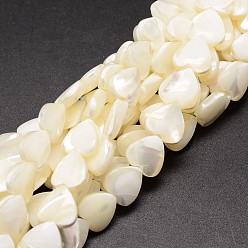 Creamy White Natural Trochid Shell/Trochus Shell Beads Strands, Heart, Creamy White, 10x10x4mm, Hole: 1mm, about 42pcs/strand, 15.75 inch