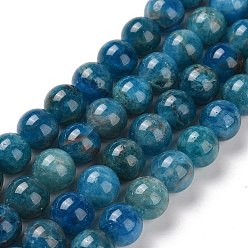 Apatite Natural Apatite Beads Strands, Round, 11~12mm, Hole: 1mm, about 32~35pcs/strand, 15.7 inch
