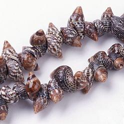 Shell en Espiral Cuentas de concha de caracol naturales hebras, concha, 5~10x12~17x6~10 mm, agujero: 1 mm, sobre 94 unidades / cadena, 15.3 pulgada (39 cm)