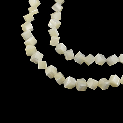 Coquille De Trochus Brins de perles de coquillage trochid naturel / coquillage trochus, 6x6x6mm, Trou: 1mm, Environ 76 pcs/chapelet, 15.7 pouce
