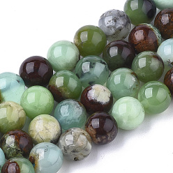 Serpentin Brins naturels de perles de chrysoprase, ronde, 8~9mm, Trou: 1mm, Environ 45~48 pcs/chapelet, 15.7 pouce