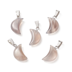 Grey Agate Natural Grey Agate Pendants, with Platinum Tone Brass Findings, 21~24x12~14x5~6mm, Hole: 2x7mm