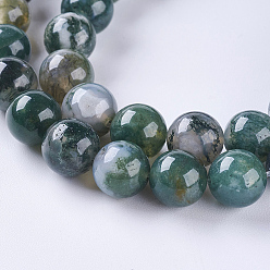 Agate Mousse Naturelles agate perles brins, ronde, 6mm, Trou: 1mm, Environ 60 pcs/chapelet, 14.7 pouce (37.4 cm)