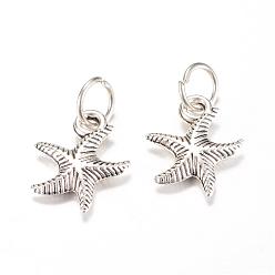 Antique Silver Tibetan Style Alloy Charms, Starfish/Sea Stars, Antique Silver, 15.5x13x3mm, Hole: 5mm