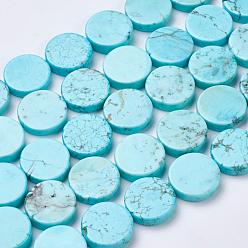 Pale Turquoise Natural Magnesite Beads Strands, Dyed, Flat Round, Pale Turquoise, 16x4mm, Hole: 1mm, about 24pcs/strands, 15.5 inch(39.5cm)