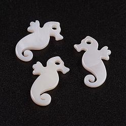 White Shell Natural White Shell Mother of Pearl Shell Pendants, Sea Horse, 15.5x9x1.5mm, Hole: 1.5mm
