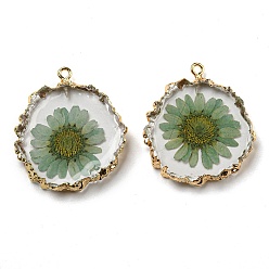 Dark Sea Green Inner Dried Flower Resin Pendants, Flat Round Charms with Light Gold Plated Brass Edge and Iron Loops, Dark Sea Green, 34~36x30~31.5x4.5~5.5mm, Hole: 2mm