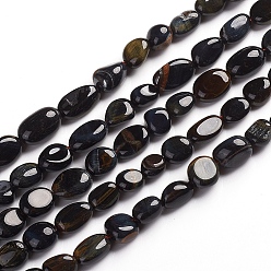 Tiger Eye Natural Blue Tiger Eye Beads Strands, Tumbled Stone, 6.5~9.5x5.5~7.5x3.5~5.5mm, Hole: 0.8mm, about 50pcs/Strand, 15.67 inch(39.8cm)