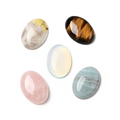 Pierre Mélangete Cabochons de pierres fines, ovale, pierre mixte, couleur mixte, 18x13x6mm