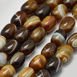 Coffee Natural Sardonyx Agate Beads Strands, Barrel, Coffee, 17~18x13mm, Hole: 2mm, about 21pcs/strand, 15.16 inch~15.35 inch