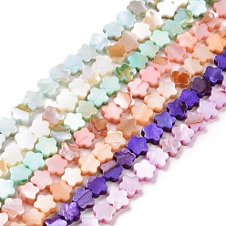 Mixed Color Natural Freshwater Shell Beads Strands, Dyed, Flower, Mixed Color, 8x8x3mm, Hole: 0.8mm, about 52pcs/strand, 15.16''(38.5cm)