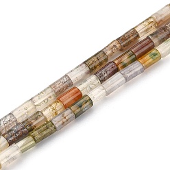 Coloré Pierres précieuses perles, Tube, naturel agate indienne, colorées, 3x5mm