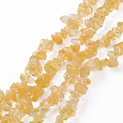 Citrine Natural Citrine Beads Strands, Dyed, Chip, 2.5~6.5x6.5~11.5mm, Hole: 0.8mm, about 31.34 inch(79.6cm)