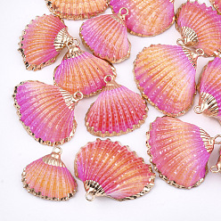 Colorful Spray Paint & Electroplate Sea Shell Pendants, with Iron Findings, Light Gold, Colorful, 19~28x20~30x7~11mm, Hole: 2mm