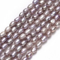 Thistle Natural Cultured Freshwater Pearl Beads Strands, Rice, Thistle, 4.5~6.5x2.5~3.3mm, Hole: 0.5mm, about 74~83pcs/strand, 14.37''~14.56"(36.5~37cm)