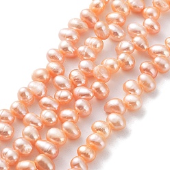 PeachPuff Natural Cultured Freshwater Pearl Beads Strands, Rice, PeachPuff, 6.5~8x5~5.5mm, Hole: 0.5mm, about 72pcs/strand, 13.82''(35.1cm)