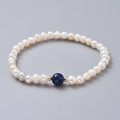 Lapis Lazuli Stretch Grade A Natural Freshwater Pearl Bracelets, with Natural Lapis Lazuli(Dyed) Beads and Brass Beads, 2 inch(5.1cm)