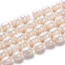 Bisque Natural Cultured Freshwater Pearl Beads Strands, Rice, Bisque, 12~17x10~12mm, Hole: 0.8mm, about 27pcs/strand, 14.17 inch(36cm)