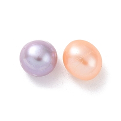 Colorful Natural Cultured Freshwater Pearl Beads, No Hole, Round, Colorful, 8.5~9x8x6.5mm