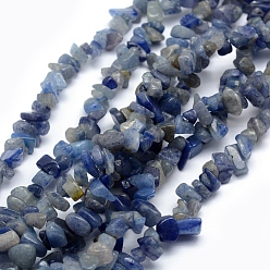 Aventurine Bleue Naturelles bleu perles aventurine brins, puce, 5~8mm, Trou: 1mm, environ 33 pouces (84 cm)