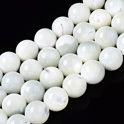 Seashell Color Natural Trochid Shell/Trochus Shell Beads Strands, Round, Bleach, Seashell Color, 8mm, Hole: 1.2mm, about 50~52pcs/strand, 15.35~15.75 inch(39~40cm)