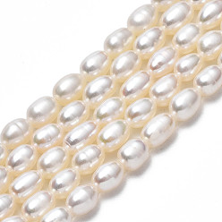 Seashell Color Natural Cultured Freshwater Pearl Beads Strands, Rice, Seashell Color, 5~6.5x4~4.5mm, Hole: 0.6mm, about 60~61pcs/strand, 13.98 inch~14.17 inch(35.5~36cm)