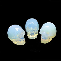 Опал Opalite украшения дисплей, череп, 36~41x28~33x43~50 мм