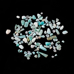 Amazonite Natural Amazonite Chip Beads, No Hole/Undrilled, 2~12x2~10x1~3mm, about 11200pcs/1000g