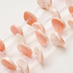 Melocotón de Soplo Cuentas de concha de perla natural hebras, teñido, disco / plano y redondo, perlas heishi, peachpuff, 12x1 mm, agujero: 1 mm, sobre 24 unidades / cadena, 15.3 pulgada (39 cm)