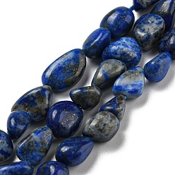 Lapis Lazuli Natural Lapis Lazuli Beads Strands, Nuggets, Tumbled Stone, 3~11x4~8x3~6mm, Hole: 0.9mm, about 56pcs/strand, 15.94''~15.75''(40~40.5cm)