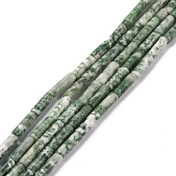 Камень с Зелеными Точками Натуральные зеленые пятна яшмовых нитей, колонка, 13x4 мм, отверстие : 1.4 мм, около 28 шт / нитка, 15.18~15.39 дюйм (38.55~39.1 см)
