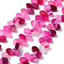 Deep Pink Natural Agate Beads Strands, Dyed & Heated, Top Drilled, Teardrop, Deep Pink, 8x5x3mm, Hole: 0.8~1mm, about 52~55pcs/strand, 7.48~7.87 inch(19~20cm)