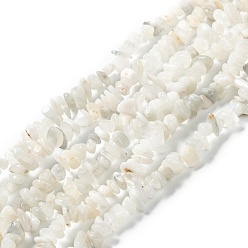 Rainbow Moonstone Natural Rainbow Moonstone Beads Strands, Chip, 6.5~14x5.5~7.5x1.5~6mm, Hole: 0.8mm, about 210pcs/strand, 31.50 inches(80cm)