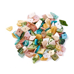 Couleur Mélangete Perles de coquillages, teint, chips de pépites, couleur mixte, 6.2~15.2x4.3~7.3x0.4~3.8mm, Trou: 1mm