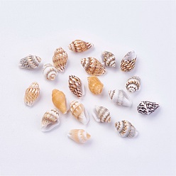 Other Sea Shell Shell Beads, 11~14x6~8mm, Hole: 1mm, about 1800pcs/500g